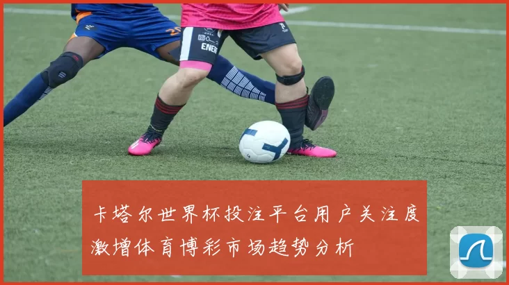 卡塔尔世界杯投注平台用户关注度激增体育博彩市场趋势分析