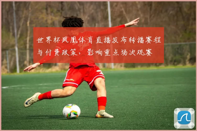 世界杯凤凰体育直播发布转播赛程与付费政策，影响重点场次观赛