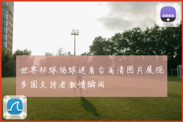 世界杯球场球迷看台高清图片展现多国支持者激情瞬间
